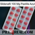 Sildenafil 100 Mg Blue Pill 19